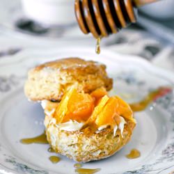 Minneola Tangelo Scones