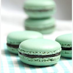 Chocolate and Mint Macaron