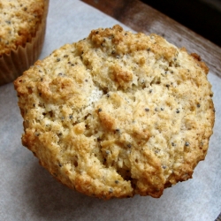 Lemon Poppy Muffins