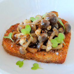 Shemeji Mushrooms-on-Toast