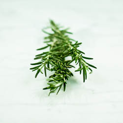 Aphrodisiac Rosemary