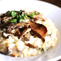 Mushroom Risotto