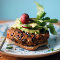 Adzuki & Sun-Dried Tomato Burgers