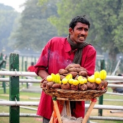 Street Food in India