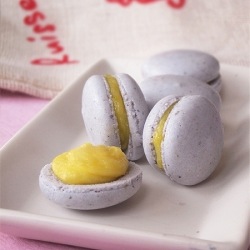 LAvender Macarons with Lemon Curd