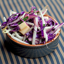 Red Cabbage Salad with Bean Sprouts