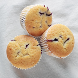 Blueberry Muffins