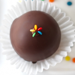 Chocolate Covered Funfetti