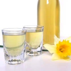 Homemade Limoncello