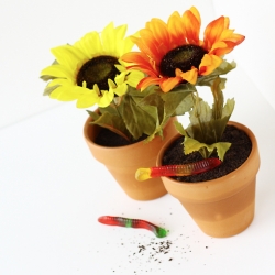 Flower Dirt Cake