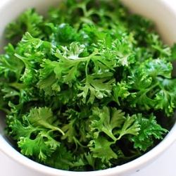 Curly Leaf Parsley