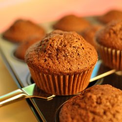 Cocoa Muffins