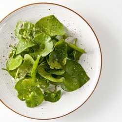 Miner’s Lettuce Salad