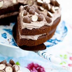 Chocolate Malteser Cake by Nigella