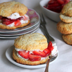 Strawberry Shortcake