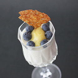 Panna Cotta with Cookies