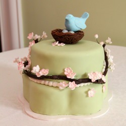 Birds Nest Baby Shower Cake