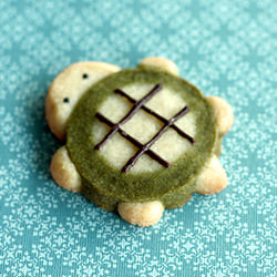 Turtle Icebox Cookies