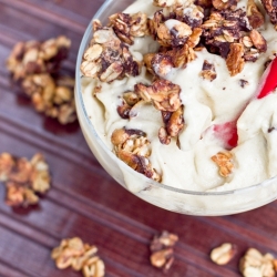 Chocolate Crunch Dessert Granola