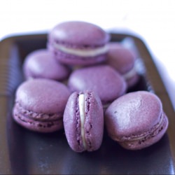 Lavender Macarons