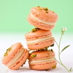 Pistachio and Grapefruit Macarons