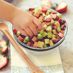 Little Hands in the Kitchen