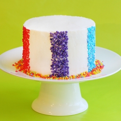 Rainbow Sprinkles Cake