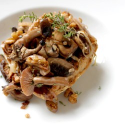 Wild Mushrooms on Toast