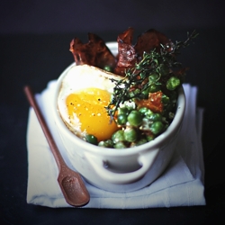 Green (Peas), Eggs and Ham!