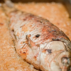 Roasted Carp