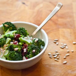 Cranberry Broccoli Salad