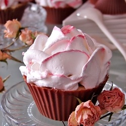 Ricotta Cream in a Chocolate Cup