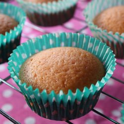 Pink Lemonade Cupcakes