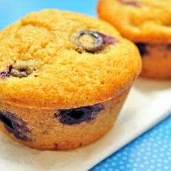 Blueberry-Brown Sugar Plain Cake