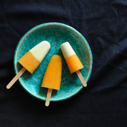 Rock Melon and Yoghurt Pops