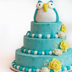 Owl Birthday Cake