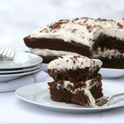 Brownie Cake w/ Buttercream