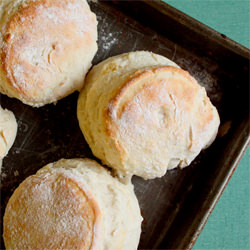 Biscuit Tricks