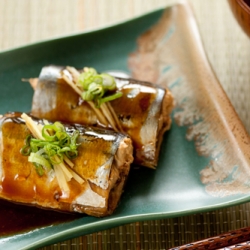 Miso Braised Pike Mackerel