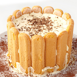 Tiramisu Cake