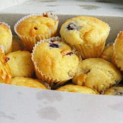 Blueberry White Chocolate Muffins