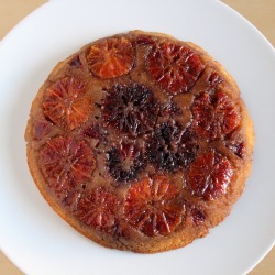 Blood Orange Upside Down Cake