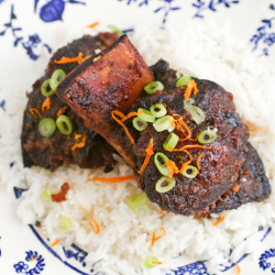 Short Ribs w/ Cranberry Glaze