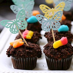 Dirt Cupcakes