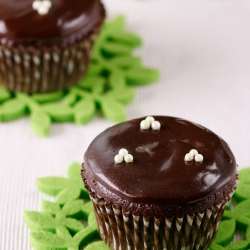 Chocolate Mint Filled Cupcakes