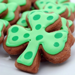 Chocolate Sugar Cookies