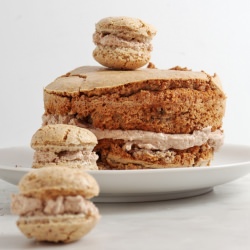 Big Hazelnut French Macarons