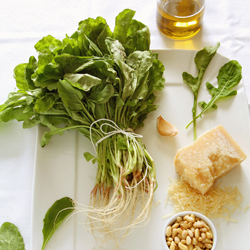 Arugula Pesto