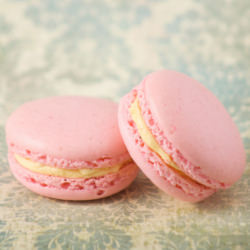 Macaron Myths