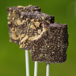 Chocolate S’Mores Pops